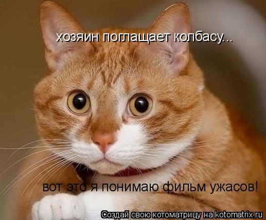 хозяин поглащает колбасу... вот это я понимаю фильм ужасов!... Котоматрица: хозяин поглащает колбасу... вот это я понимаю фильм ужасов!
