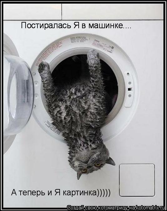 Постиралась Я в машинке.... Постиралась Я в машинке.... с А теперь и Я картинка)))))... Котоматрица: Постиралась Я в машинке.... Постиралась Я в машинке.... с А теперь и Я картинка)))))