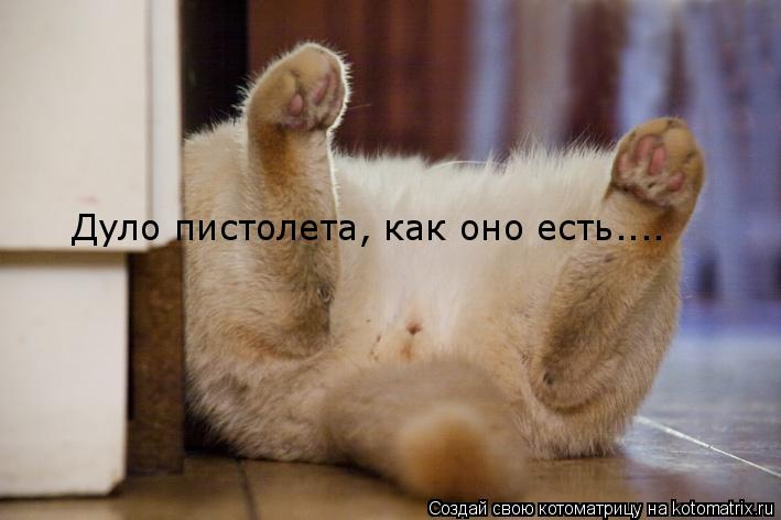 Дуло пистолета, как оно есть....... Котоматрица: Дуло пистолета, как оно есть....