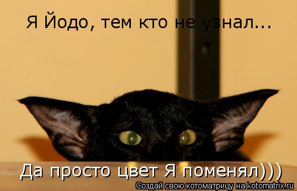Я Йодо, тем кто не узнал... Да просто цвет Я поменял)))... Котоматрица: Я Йодо, тем кто не узнал... Да просто цвет Я поменял)))