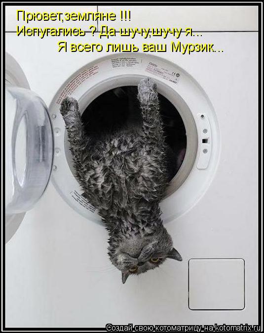 Прювет,земляне !!! Испугались ? Да шучу,шучу я... Я всего лишь ваш Мурзик...... Котоматрица: Прювет,земляне !!! Испугались ? Да шучу,шучу я... Я всего лишь ваш Мурзик...