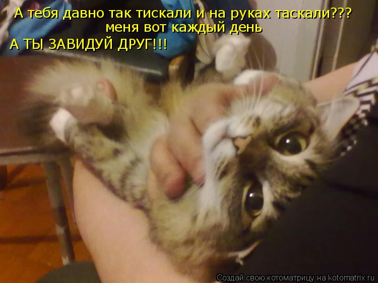 А тебя давно так тискали и на руках таскали??? меня вот каждый день А ТЫ ЗАВИДУЙ ДРУГ!!!... Котоматрица: А тебя давно так тискали и на руках таскали??? меня вот каждый день А ТЫ ЗАВИДУЙ ДРУГ!!!
