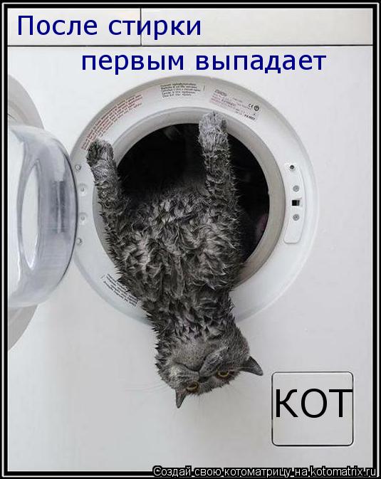 Котоматрица: После стирки первым выпадает КОТ