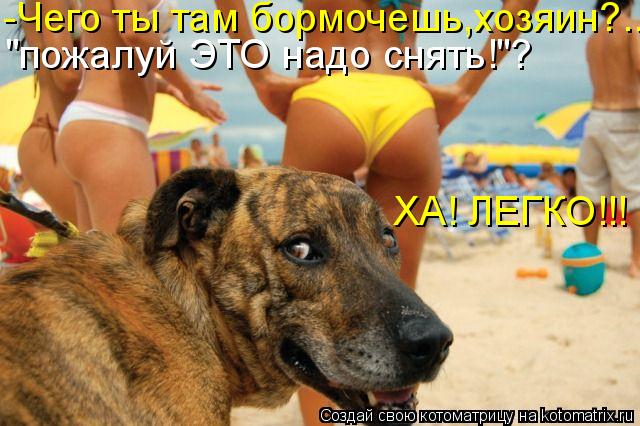 -Чего ты там бормочешь,хозяин?.. "пожалуй ЭТО надо снять!"? ХА! ЛЕГКО!!!... Котоматрица: -Чего ты там бормочешь,хозяин?.. "пожалуй ЭТО надо снять!"? ХА! ЛЕГКО!!!