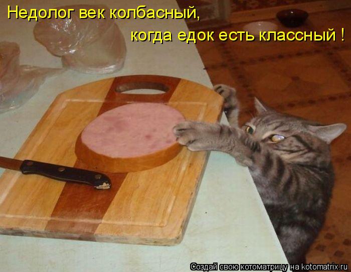 Недолог век колбасный, когда едок есть классный !... Котоматрица: Недолог век колбасный, когда едок есть классный !