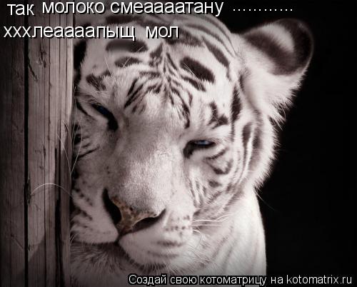 так молоко смеаааатану ............ хххлеаааапыщ мол... Котоматрица: так молоко смеаааатану ............ хххлеаааапыщ мол