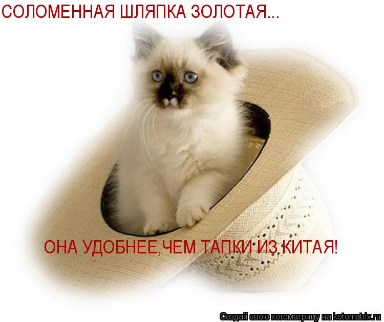 СОЛОМЕННАЯ ШЛЯПКА ЗОЛОТАЯ... ОНА УДОБНЕЕ,ЧЕМ ТАПКИ ИЗ КИТАЯ!... Котоматрица: СОЛОМЕННАЯ ШЛЯПКА ЗОЛОТАЯ... ОНА УДОБНЕЕ,ЧЕМ ТАПКИ ИЗ КИТАЯ!