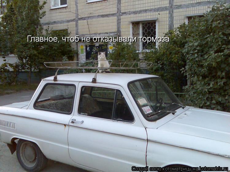 Главное, чтоб не отказывали тормоза... Котоматрица: Главное, чтоб не отказывали тормоза
