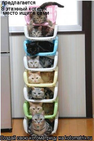 предлагается 8 этажный котедж место ищите сами... Котоматрица: предлагается 8 этажный котедж место ищите сами