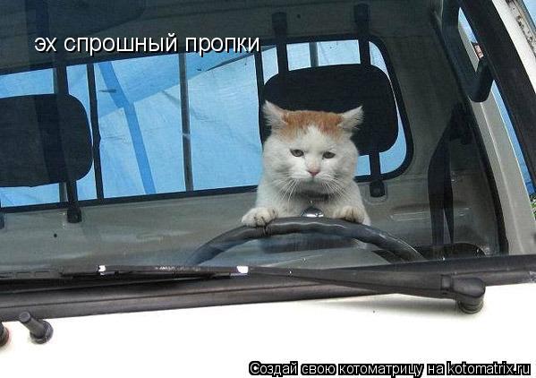 эх спрошный пропки... Котоматрица: эх спрошный пропки
