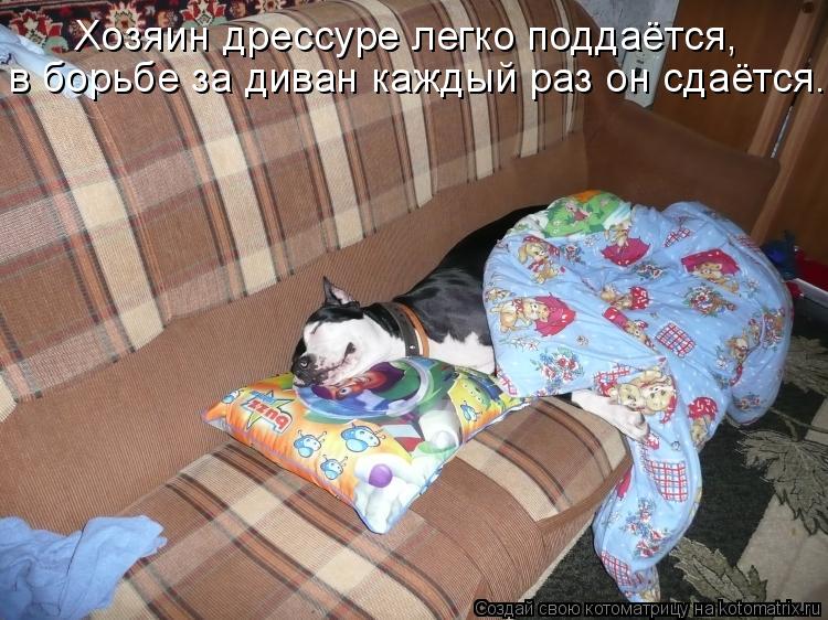 Хозяин дрессуре легко поддаётся, в борьбе за диван каждый раз он сдаётся.... Котоматрица: Хозяин дрессуре легко поддаётся, в борьбе за диван каждый раз он сдаётся.
