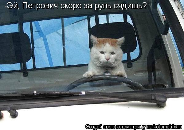 -Эй, Петрович скоро за руль сядишь?... Котоматрица: -Эй, Петрович скоро за руль сядишь?