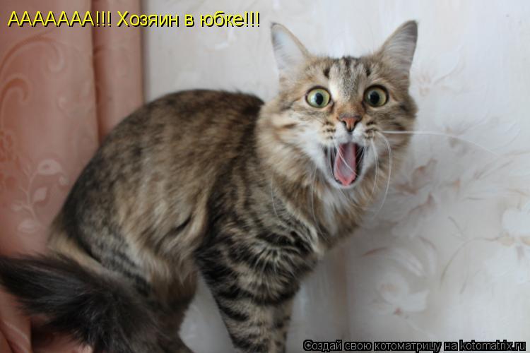 ААААААА!!! Хозяин в юбке!!!... Котоматрица: ААААААА!!! Хозяин в юбке!!!