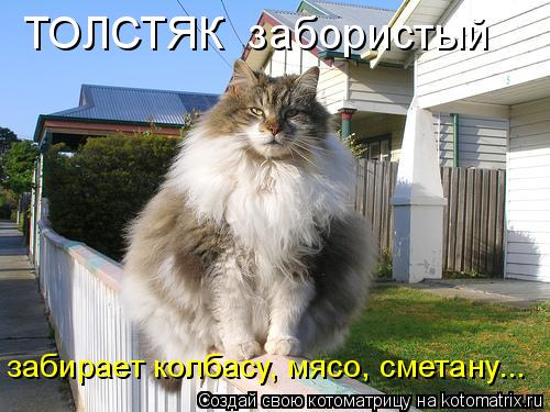 ТОЛСТЯК забористый забирает колбасу, мясо, сметану...... Котоматрица: ТОЛСТЯК забористый забирает колбасу, мясо, сметану...