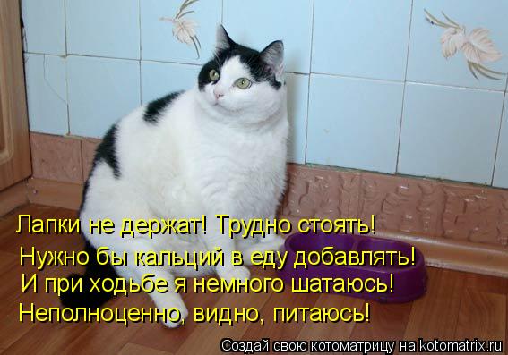 Лапки не держат! Трудно стоять! Нужно бы кальций в еду добавлять! И при ходьбе я немного шатаюсь! Не... Котоматрица: Лапки не держат! Трудно стоять! Нужно бы кальций в еду добавлять! И при ходьбе я немного шатаюсь! Неполноценно, видно, питаюсь!