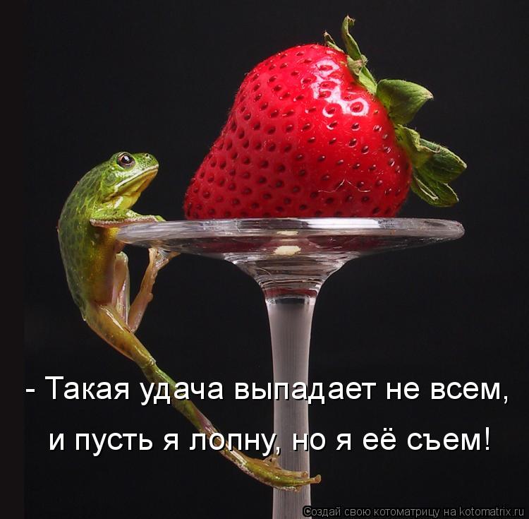 Котоматрица: и пусть я лопну, но я её съем! - Такая удача выпадает не всем,