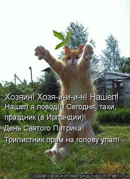 Котоматрица: Хозяин! Хозя-и-и-и-н! Нашел!   Нашел я повод!!! Сегодня, таки,  праздник (в Ирландии)!  День Святого Патрика!  Трилистник прям на голову упал!