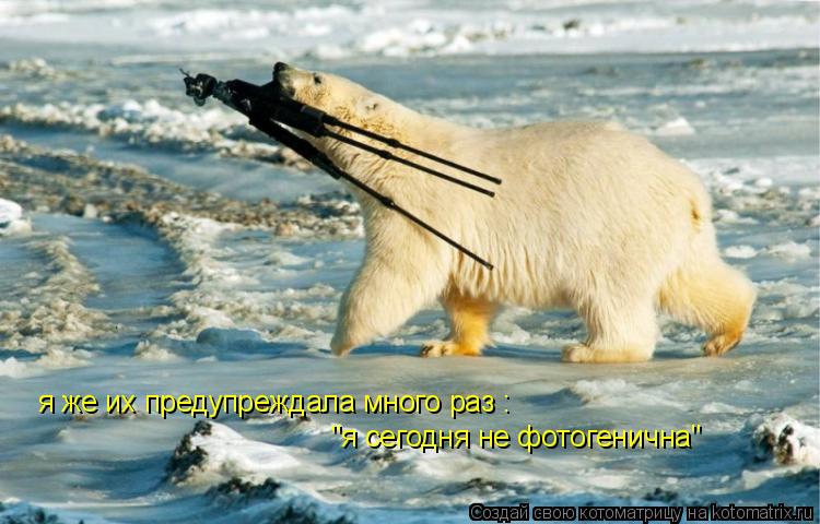 Котоматрица: я же их предупреждала много раз : "я сегодня не фотогенична"