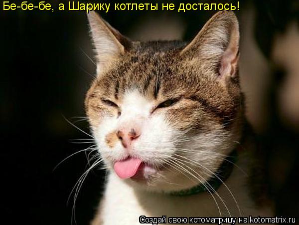 Бе-бе-бе, а Шарику котлеты не досталось!... Котоматрица: Бе-бе-бе, а Шарику котлеты не досталось!