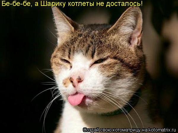 Котоматрица: Бе-бе-бе, а Шарику котлеты не досталось!