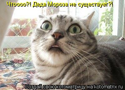 Котоматрица: Чтоооо?! Деда Мороза не существует?!