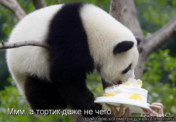 Котоматрица: Ммм..а тортик даже не чего..