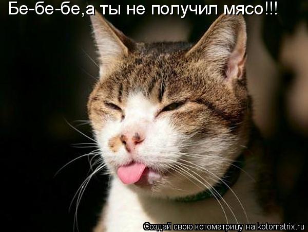 Котоматрица: Бе-бе-бе,а ты не получил мясо!!!