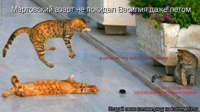 Котоматрица: Мартовский азарт не покидал Василия даже летом он не подозревал ... насколька мстительна Мурка и не знал что она совсем рядом --->