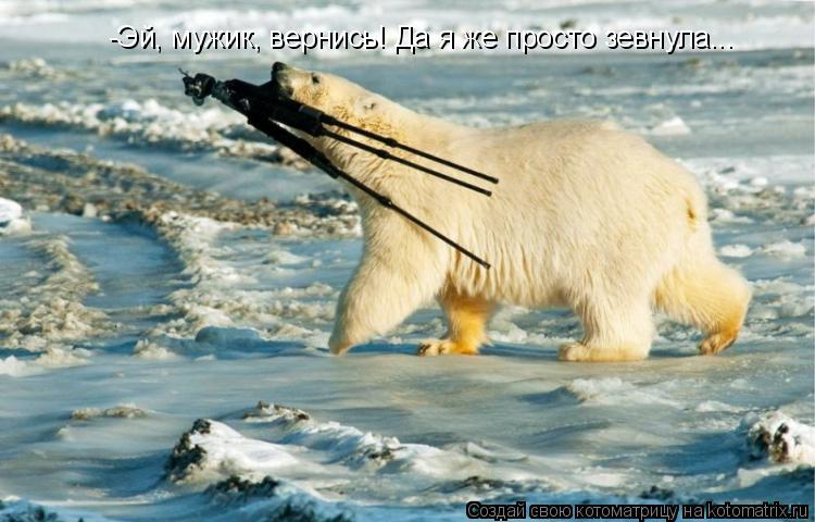 Котоматрица: -Эй, мужик, вернись! Да я же просто зевнула...