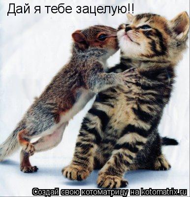 Дай я тебе зацелую!!... Котоматрица: Дай я тебе зацелую!!