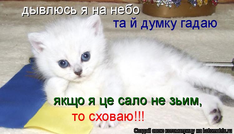 дывлюсь я на небо та й думку гадаю то сховаю!!! якщо я це сало не зьим,... Котоматрица: дывлюсь я на небо та й думку гадаю то сховаю!!! якщо я це сало не зьим,