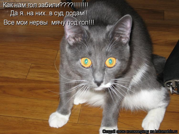 Как нам гол забили????!!!!!!!! Да я..на них..в суд подам!! Все мои нервы мячу под гол!!!... Котоматрица: Как нам гол забили????!!!!!!!! Да я..на них..в суд подам!! Все мои нервы мячу под гол!!!