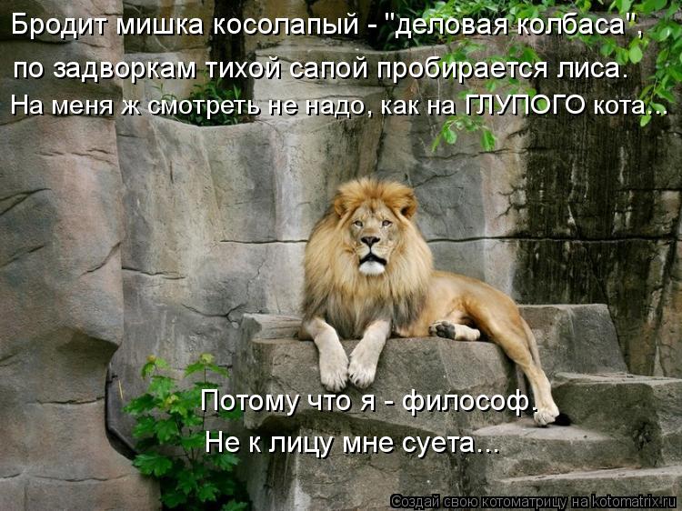по задворкам тихой сапой пробирается лиса. Бродит мишка косолапый - "деловая колбаса", Потому что я ... Котоматрица: по задворкам тихой сапой пробирается лиса. Бродит мишка косолапый - "деловая колбаса", Потому что я - философ. Не к лицу мне суета... На меня ж