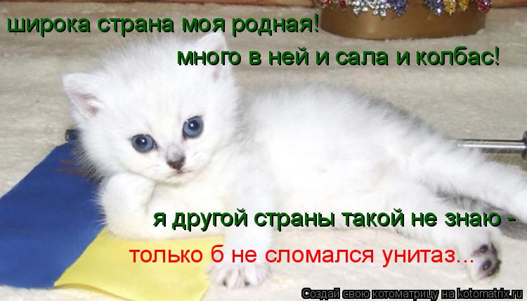широка страна моя родная! много в ней и сала и колбас! я другой страны такой не знаю - только б не сл... Котоматрица: широка страна моя родная! много в ней и сала и колбас! я другой страны такой не знаю - только б не сломался унитаз...