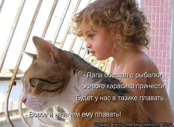 - Папа обещал с рыбалки живого карасика принести. Будет у нас в тазике плавать... - Вовсе и незачем е... Котоматрица: - Папа обещал с рыбалки живого карасика принести. Будет у нас в тазике плавать... - Вовсе и незачем ему плавать!