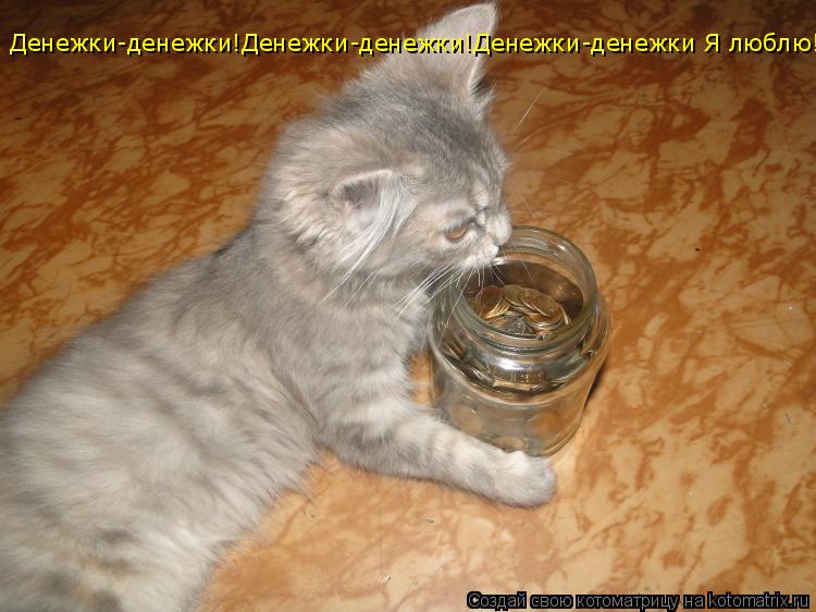 Котоматрица: Денежки-денежки!Денежки-денежки!Денежки-денежки Я люблю!