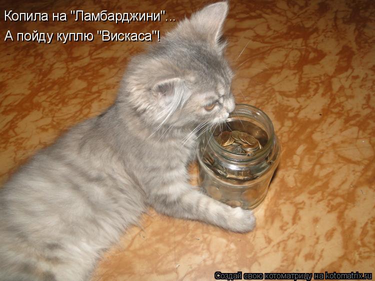 Котоматрица: Копила на "Ламбарджини"... А пойду куплю "Вискаса"!