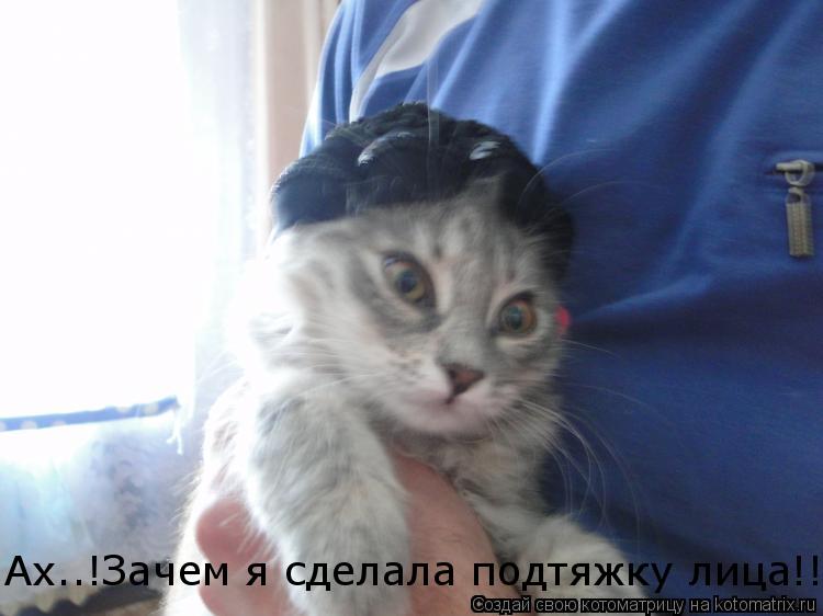 Котоматрица: Ах..!Зачем я сделала подтяжку лица!!!