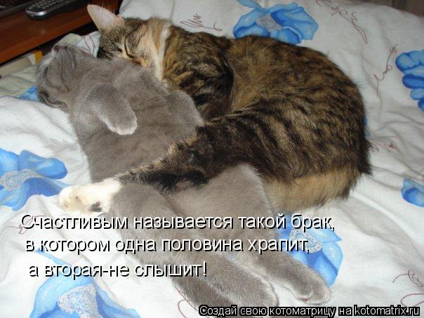 Котоматрица: Счастливым называется такой брак, в котором одна половина храпит, а вторая-не слышит!