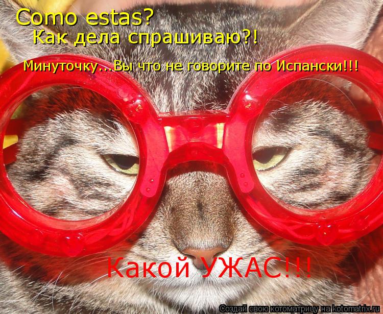 Котоматрица: Como estas? Как дела спрашиваю?! Минуточку...Вы что не говорите по Испански!!! Какой УЖАС!!!