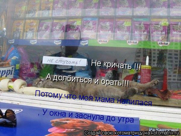 Котоматрица: Не кричать !!! А долбиться и орать!!! Потому что моя мама напилася , У окна и заснула до утра