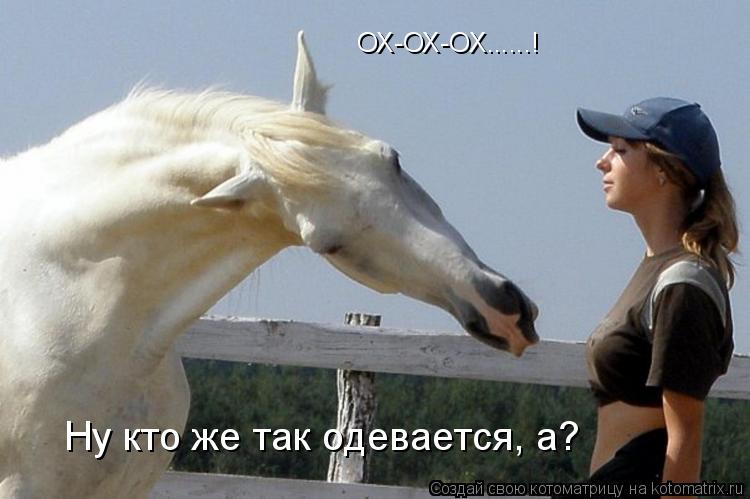 Котоматрица: ОХ-ОХ-ОХ......! Ну кто же так одевается, а?