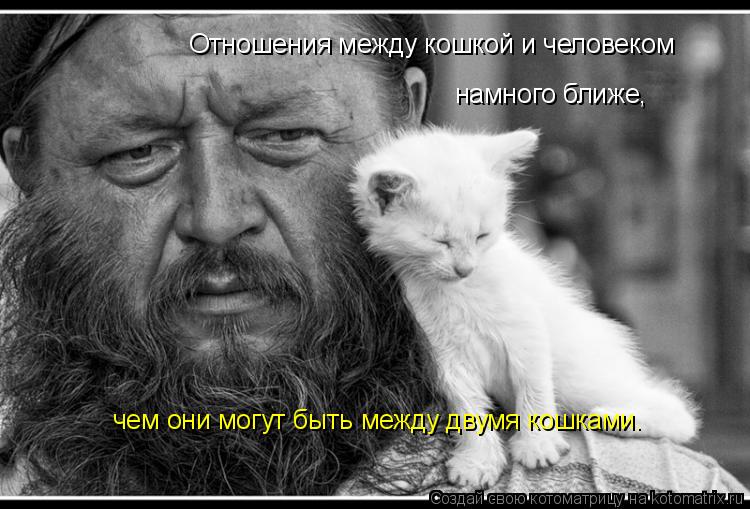 Котоматрица: Отношения между кошкой и человеком  намного ближе,  чем они могут быть между двумя кошками.