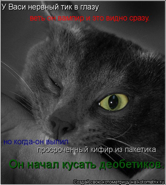Котоматрица: У Васи нервный тик в глазу   веть он вампир и это видно сразу. но когда-он выпил  просроченный кифир из пакетика Он начал кусать деобетиков.