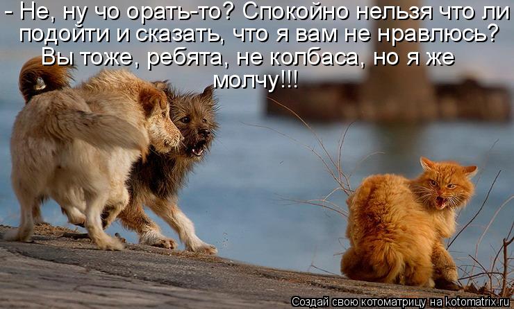 http://kotomatrix.ru/images/lolz/2011/06/18/933006.jpg