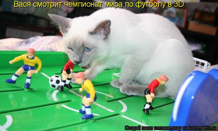 Котоматрица: Вася смотрит чемпионат мира по футболу в 3D