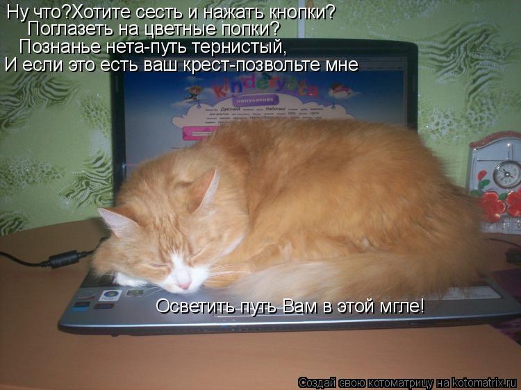 Котоматрица: Ну что?Хотите сесть и нажать кнопки? Поглазеть на цветные попки? Познанье нета-путь тернистый, И если это есть ваш крест-позвольте мне Освет