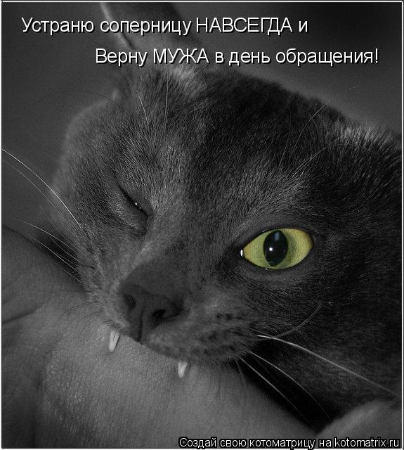 Котоматрица: Устраню соперницу НАВСЕГДА и Верну МУЖА в день обращения!