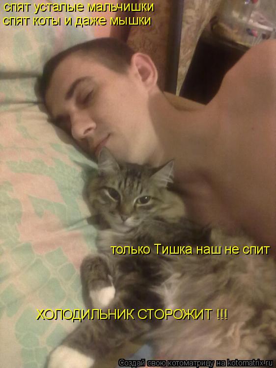 Котоматрица: спят усталые мальчишки спят коты и даже мышки только Тишка наш не спит ХОЛОДИЛЬНИК СТОРОЖИТ !!!