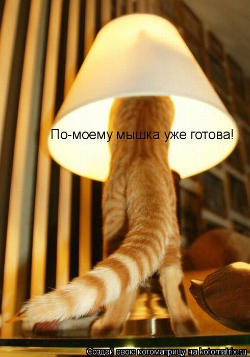 Котоматрица: По-моему мышка уже готова!
